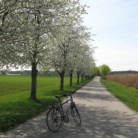 Serviced Kurpfalzhof Apart Otel 3*