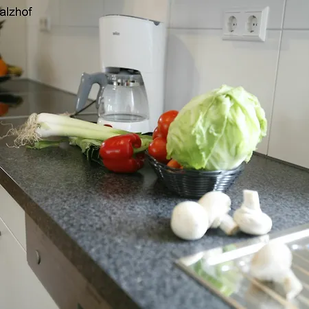 Serviced Kurpfalzhof Apart Otel
